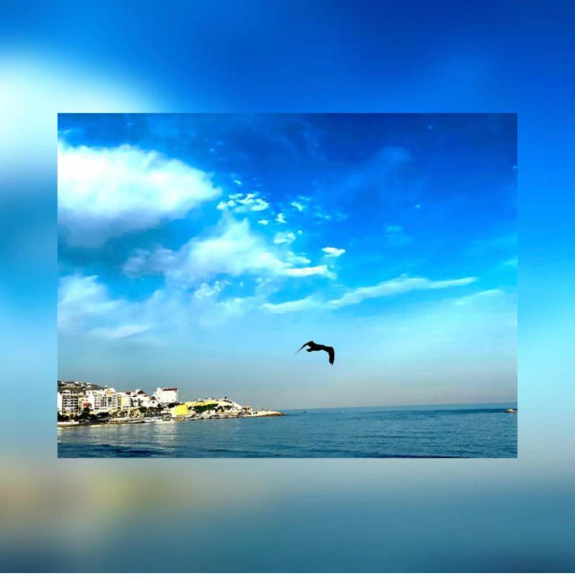 Apartamento Frente Al Mar Benidorm Zewnętrze zdjęcie